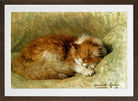 A Sleeping Cat (1898) by Henriette Ronner-Knip — brown frame