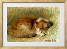 A Sleeping Cat (1898) by Henriette Ronner-Knip — gold frame