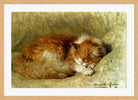 A Sleeping Cat (1898) by Henriette Ronner-Knip — oak frame