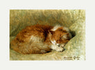 A Sleeping Cat (1898) by Henriette Ronner-Knip — rolled canvas