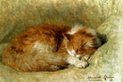 A Sleeping Cat (1898) by Henriette Ronner-Knip — unframed
