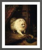 An Unwelcome Intruder by Henriette Ronner-Knip — dark grey frame