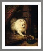 An Unwelcome Intruder by Henriette Ronner-Knip — light grey frame