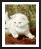 Curiosity by Henriette Ronner-Knip — black frame