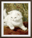 Curiosity by Henriette Ronner-Knip — brown frame