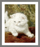 Curiosity by Henriette Ronner-Knip — light grey frame