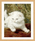 Curiosity by Henriette Ronner-Knip — oak frame