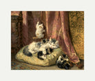 Kittens at Play — The Hanging Cord by Henriette Ronner-Knip — rolled canvas