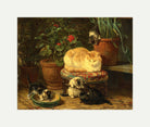 Kittens at Play — Among the Flowerpots by Henriette Ronner-Knip — rolled canvas