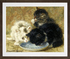 Three Kittens (1895) by Henriette Ronner-Knip — brown frame