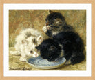 Three Kittens (1895) by Henriette Ronner-Knip — oak frame