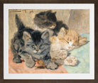 Three Kittens (1896) by Henriette Ronner-Knip — brown frame