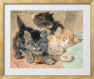 Three Kittens (1896) by Henriette Ronner-Knip — gold frame