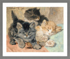 Three Kittens (1896) by Henriette Ronner-Knip — light grey frame