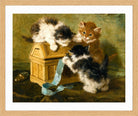 Three Kittens with a Casket and Blue Ribbon (1894) by Henriette Ronner-Knip — oak frame