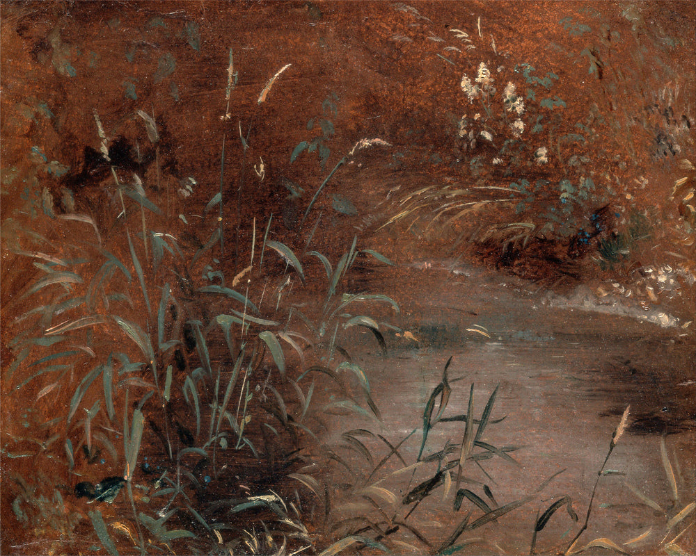 John Constable Print, Rushes by a pool (ca as an unframed print