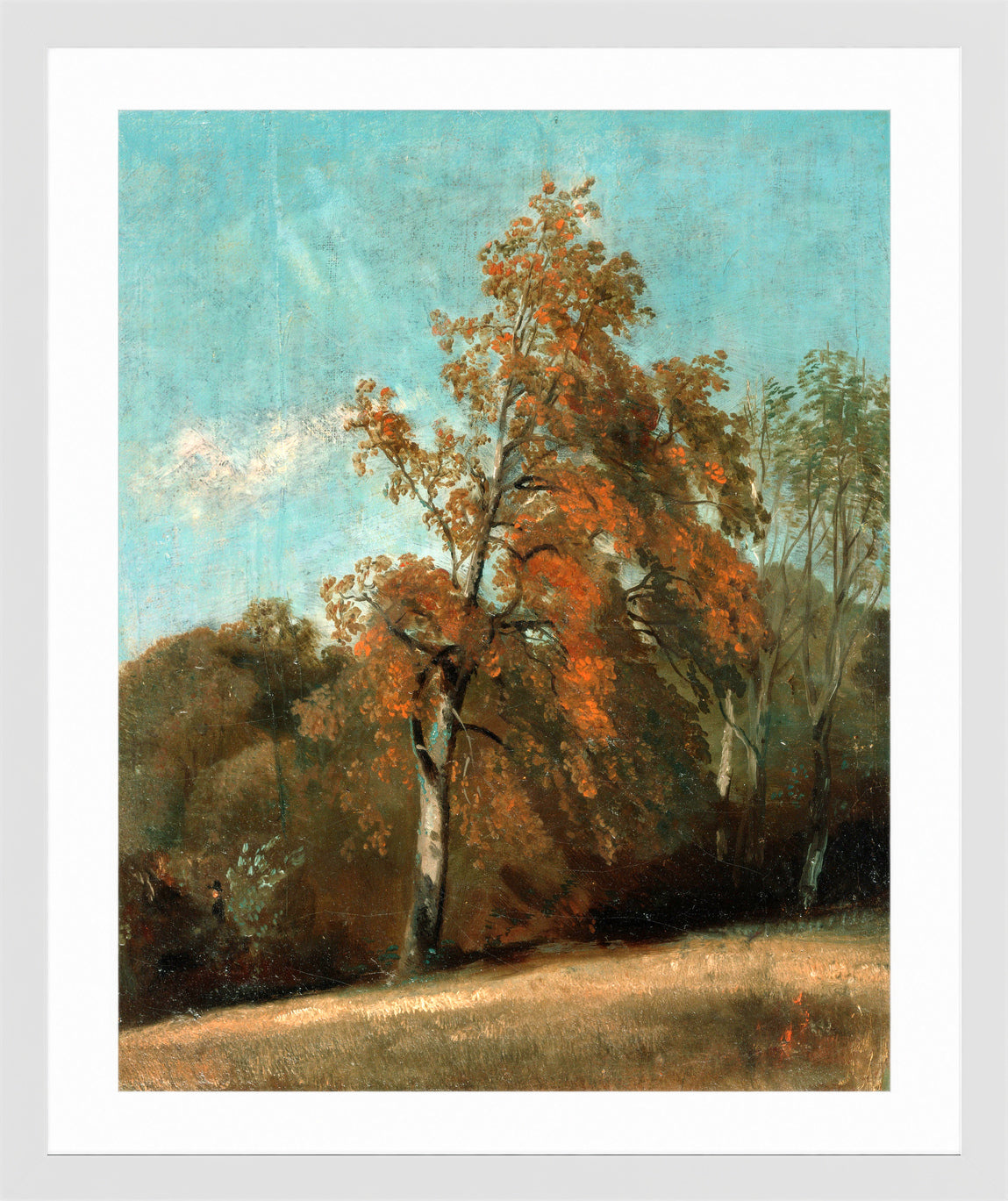John Constable Print, Study of an Ash Tree (1801-1803) in a white frame