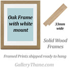 Solid Wood Frames for gallery quality prints exclusively at GalleryThane