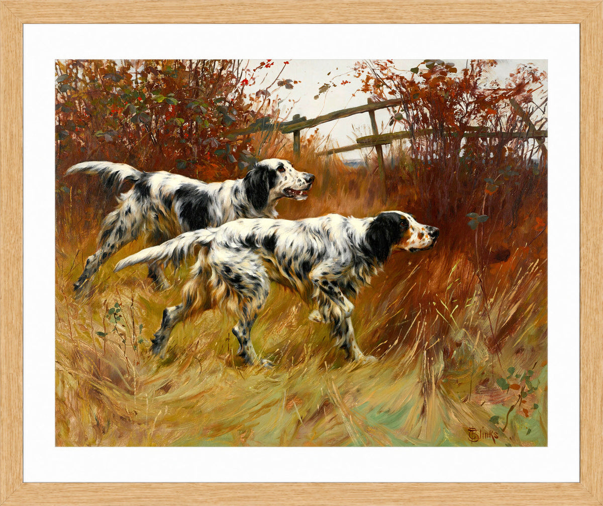 Thomas Blinks Print, English Setters in an oak frame