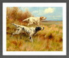 Thomas Blinks Print, English setters on point in a dark grey frame
