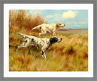 Thomas Blinks Print, English setters on point in a light grey frame
