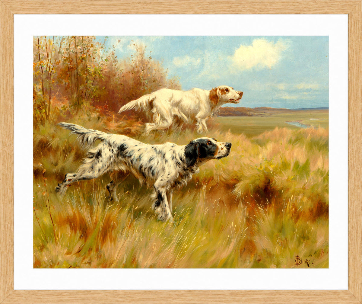 Thomas Blinks Print, English setters on point in an oak frame