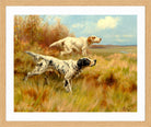 Thomas Blinks Print, English setters on point in an oak frame