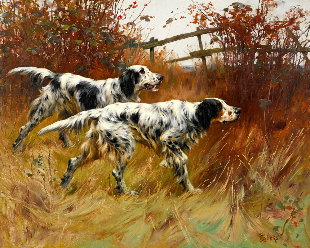 Thomas Blinks Print, English Setters as an unframed print