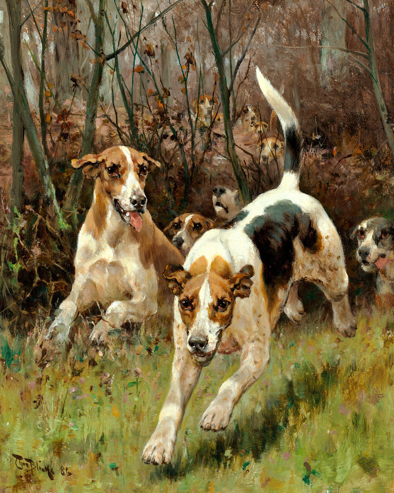 Thomas Blinks Print, Hunting pack coming on (1886) as an unframed print