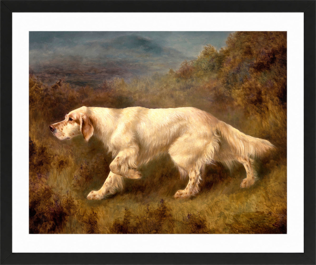 Thomas Blinks Print, Mallwyd Ned in a black frame