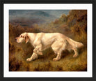 Thomas Blinks Print, Mallwyd Ned in a black frame