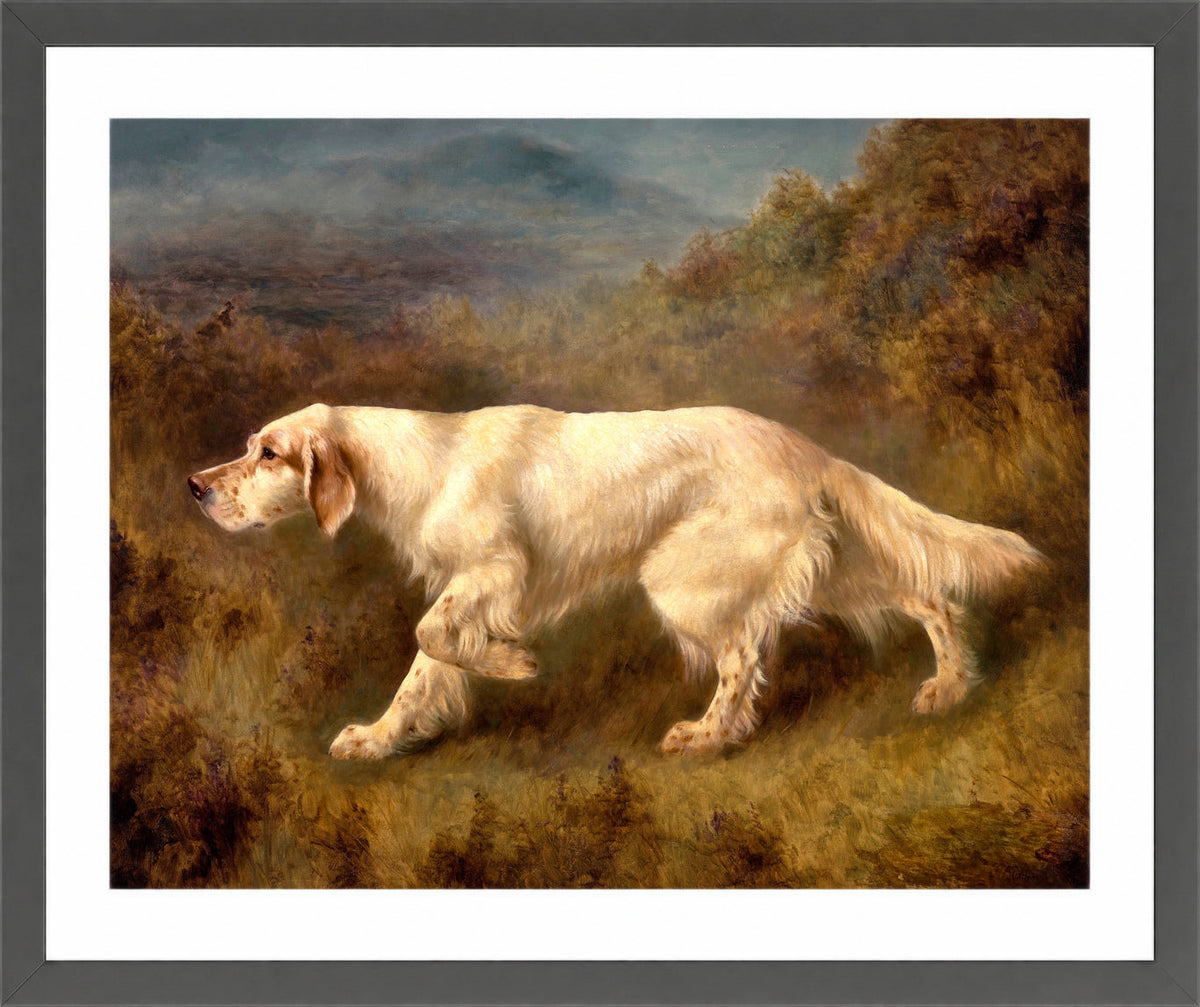 Thomas Blinks Print, Mallwyd Ned in a dark grey frame