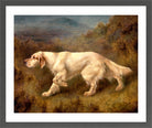 Thomas Blinks Print, Mallwyd Ned in a dark grey frame