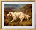 Thomas Blinks Print, Mallwyd Ned in a gold frame