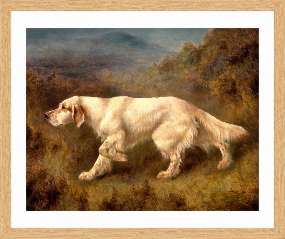 Thomas Blinks Print, Mallwyd Ned in an oak frame