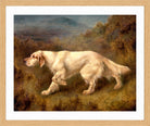 Thomas Blinks Print, Mallwyd Ned in an oak frame