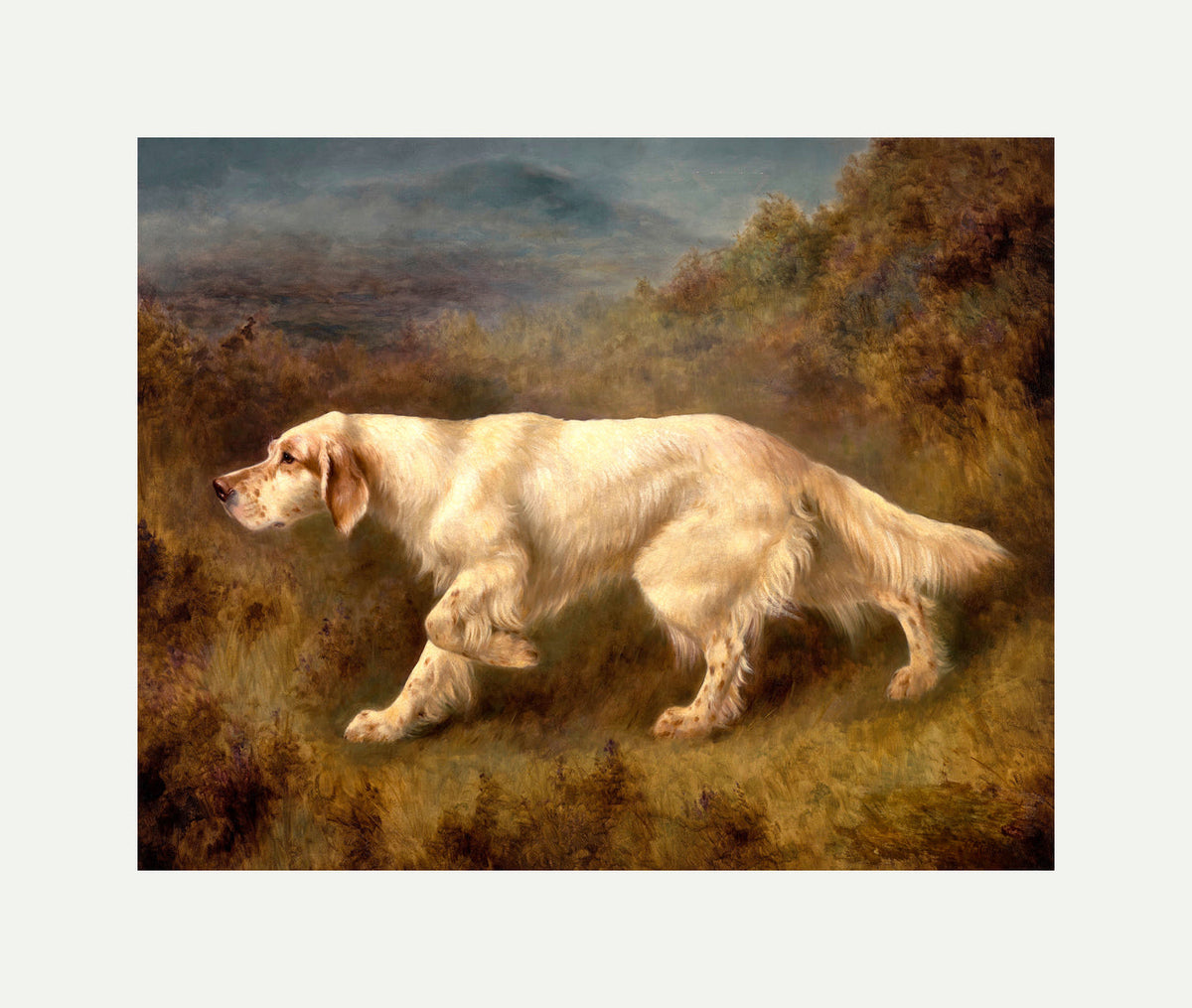 Thomas Blinks Print, Mallwyd Ned with an off-white border for rolled canvas
