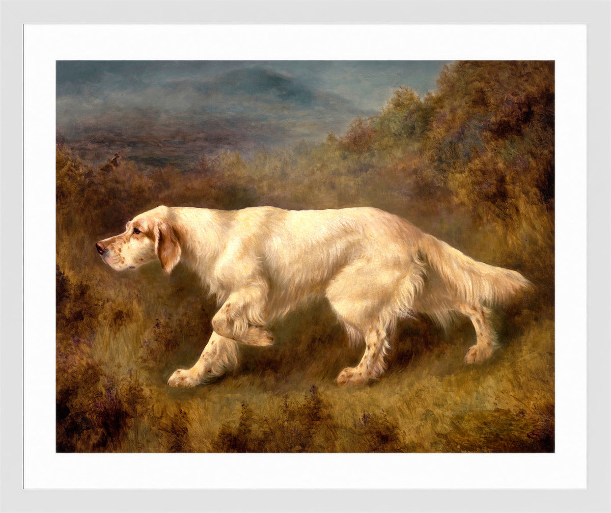 Thomas Blinks Print, Mallwyd Ned in a white frame
