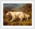 Thomas Blinks Print, Mallwyd Ned in a white frame