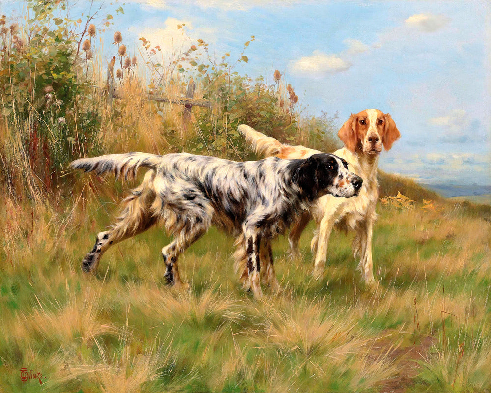 Thomas Blinks Print, Two English setters as an unframed print