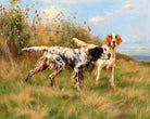Thomas Blinks Print, Two English setters as an unframed print