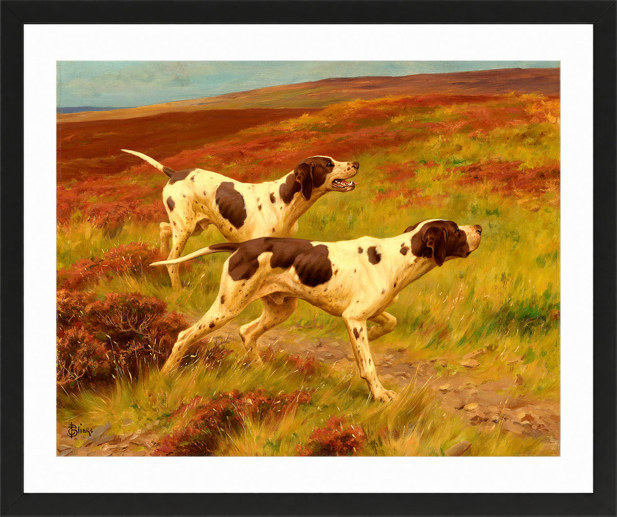 Thomas Blinks Print, Two pointers in the heather in a black frame