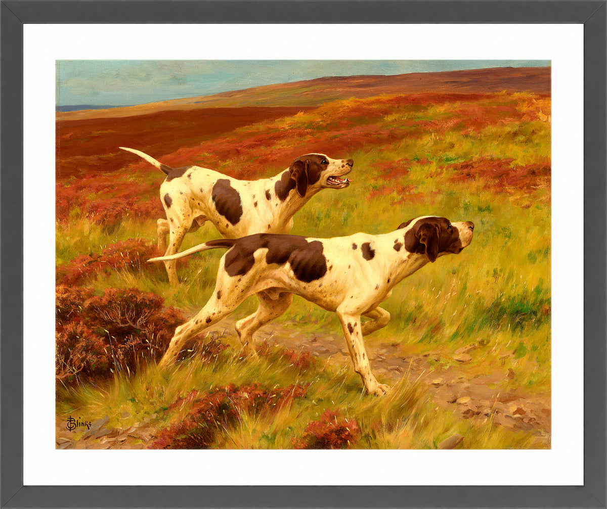Thomas Blinks Print, Two pointers in the heather in a dark grey frame