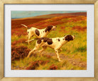 Thomas Blinks Print, Two pointers in the heather in a gold frame