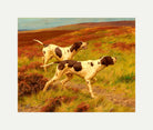 Thomas Blinks Print, Two pointers in the heather with an off-white border for rolled canvas
