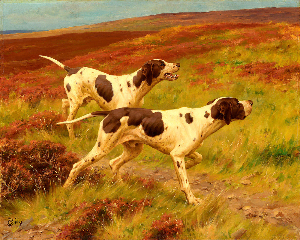Thomas Blinks Print, Two pointers in the heather as an unframed print