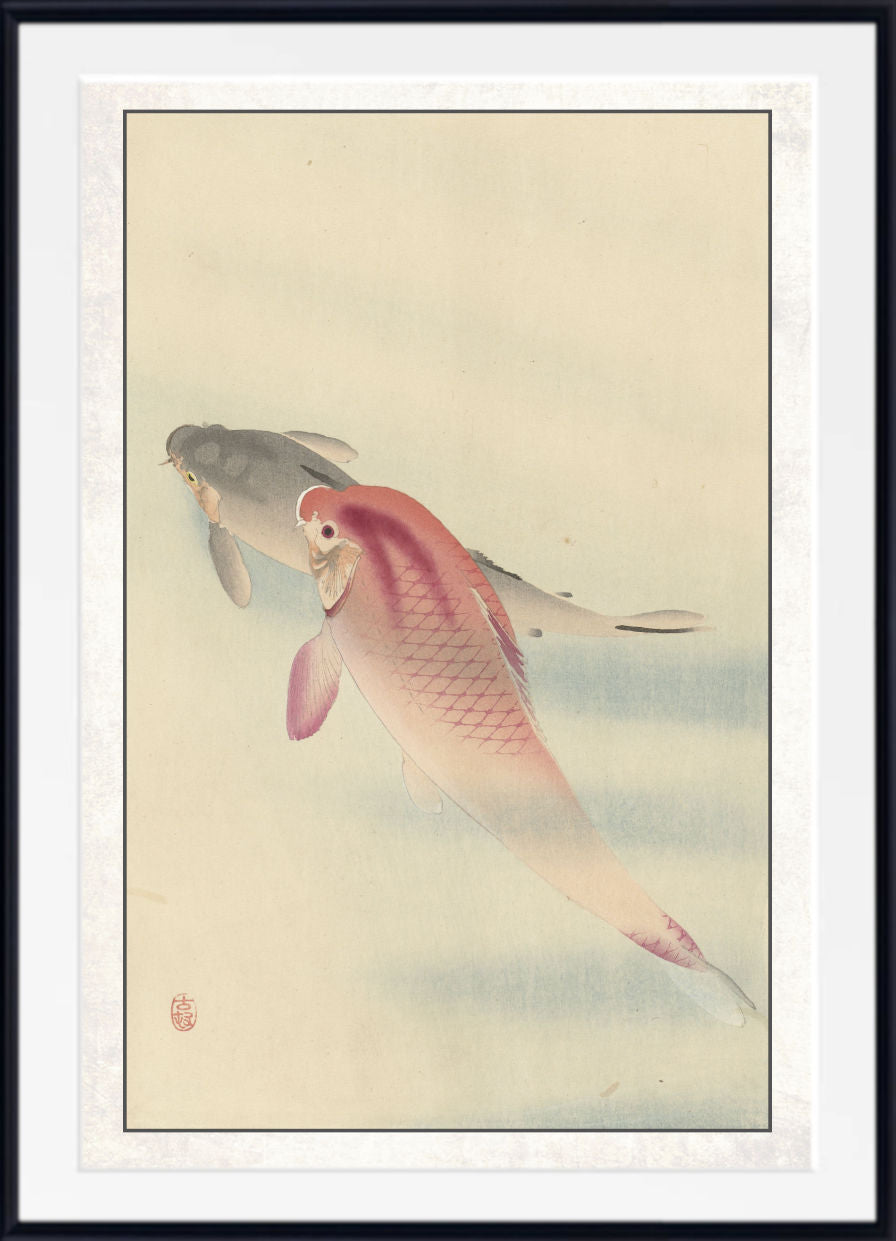 A framed Japanese-style art print depicting two koi fish swimming in a pale water scene, with a white mat and black frame.