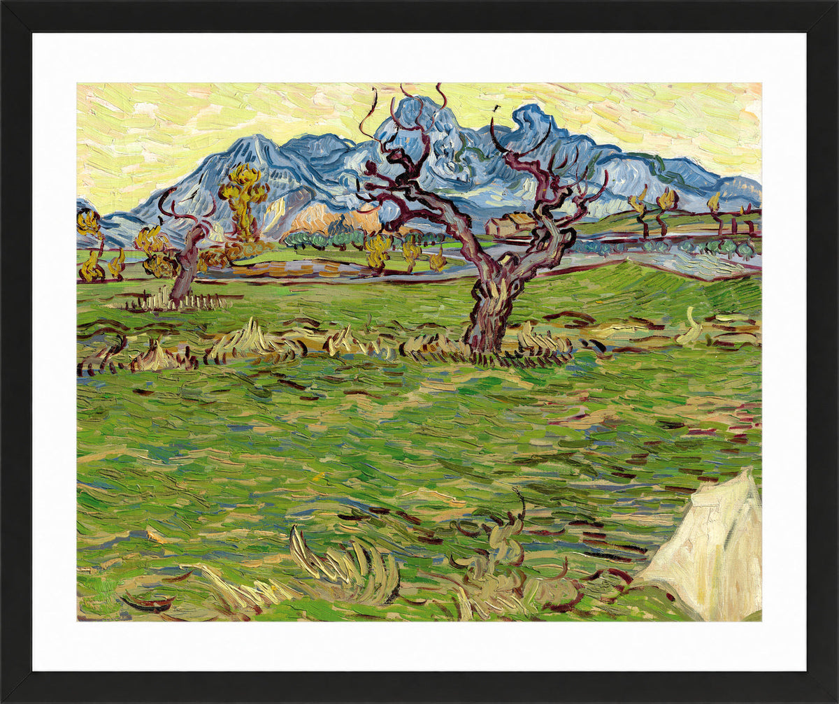 Vincent van Gogh Print, 019 Landscape with Olive Tree and Mountains in the Background_10x8 in a black frame
