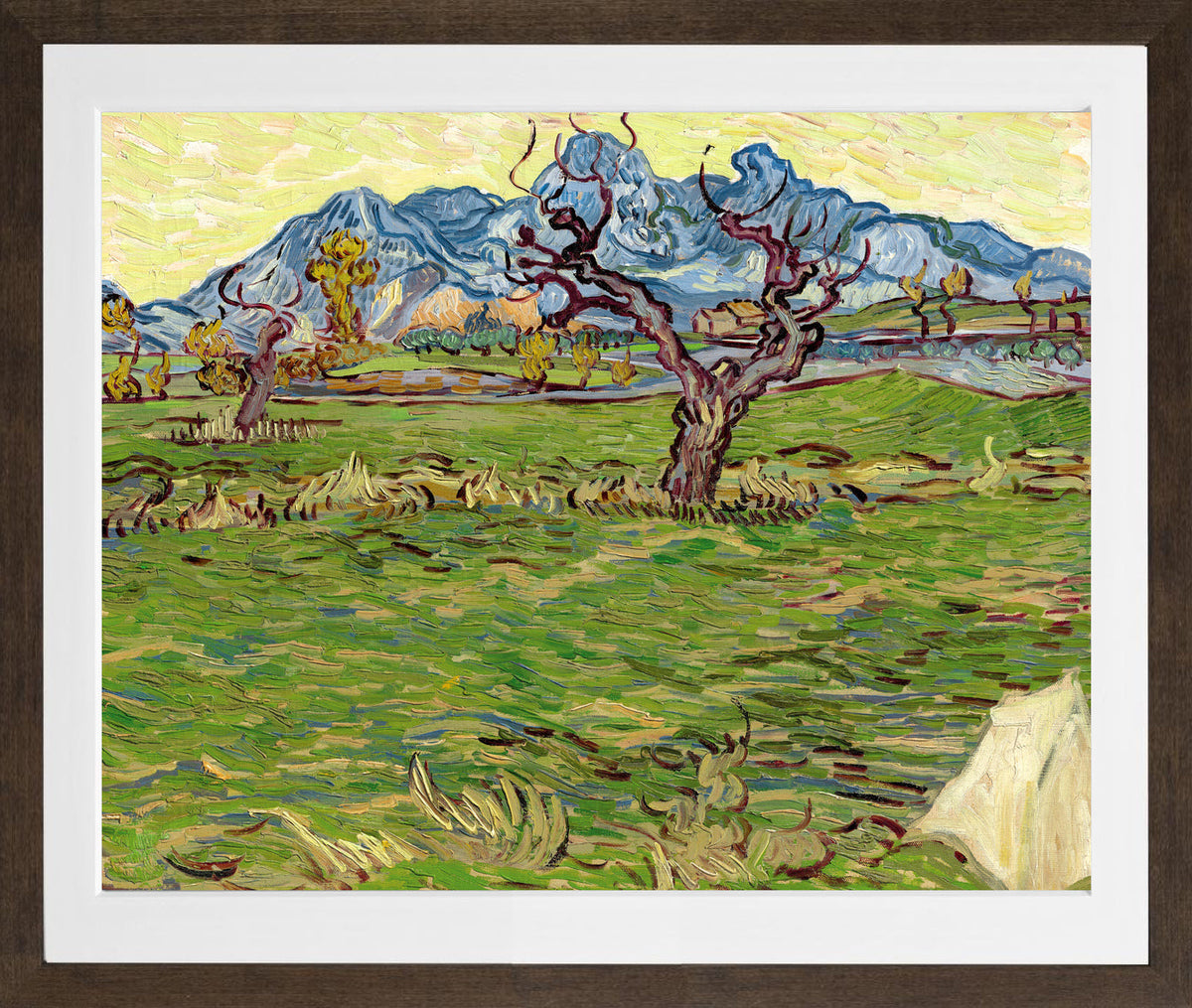 Vincent van Gogh Print, 019 Landscape with Olive Tree and Mountains in the Background_10x8 in a brown frame