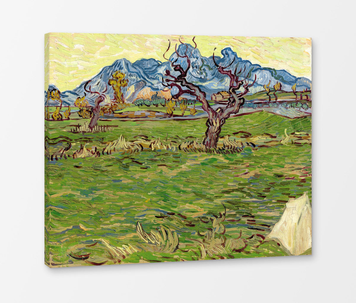 Vincent van Gogh Print, 019 Landscape with Olive Tree and Mountains in the Background_10x8 as a ready-to-hang canvas panel